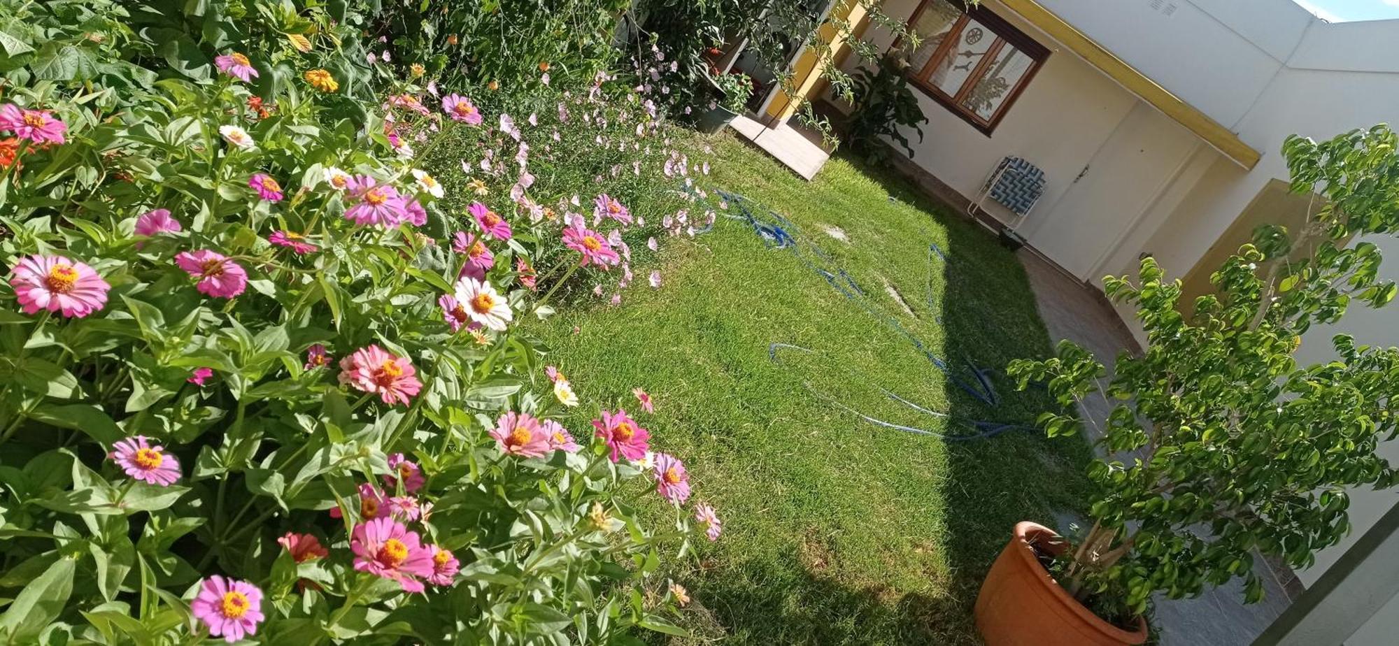 Oasis Cochera Opcional 바히아블랑카 객실 사진